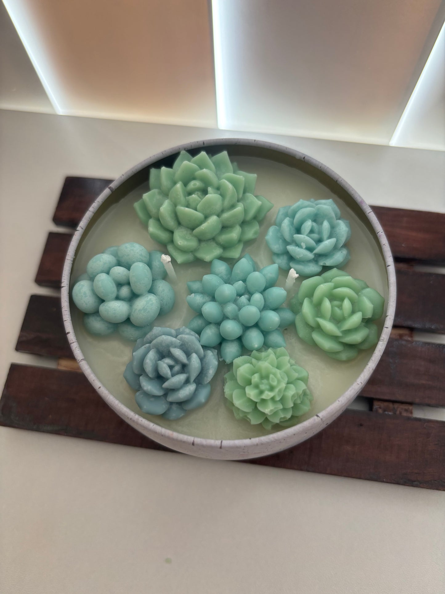 Soy Wax Succulent Candle