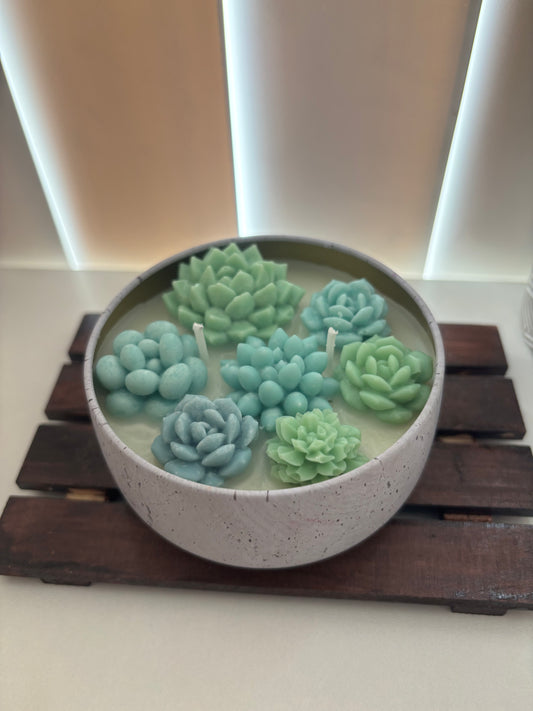 Soy Wax Succulent Candle
